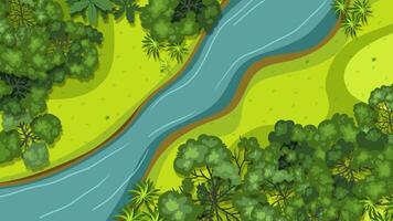 Animals interact in a lush rainforest environment video