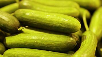 Close-up of vibrant green cucumbers stacked in a market setting with warm lighting and a focused composition video