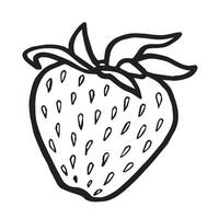 Strawberry isolated illustration for food desing. Fresh garden berries black and white sketch, organic healthy food. Summer fruit in line art style for cosmetic and textile. vector