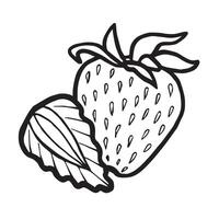 Strawberry with slices hand drawn isolated illustration for food product desings. Fresh garden berries black and white sketch, organic healthy food. Summer fruit in line art style for cosmetic. vector