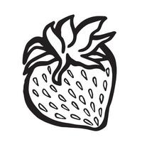 Strawberry hand drawn isolated illustration for food product desing. Berries black and white sketch, organic healthy food. Summer fruit in line art style for cosmetic and textile. vector