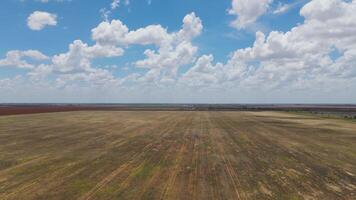 Aerial view of dry fields under cloudy skies video