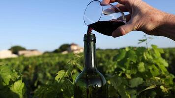 Wine being poured into a bottle in vineyard video