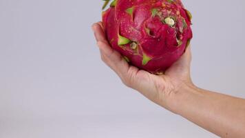 Hands interact with a dragon fruit video
