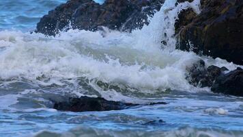 Dynamic ocean waves crash against rugged rocks under natural daylight at Charlesworth Bay Beach, creating a dramatic coastal scene video