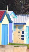 Vibrant beach huts line a sandy shore under clear skies, surrounded by lush greenery and calm coastal ambiance video