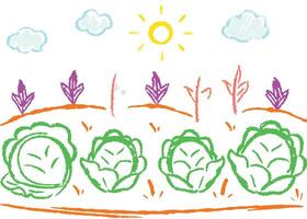 icon set featuring summer vector