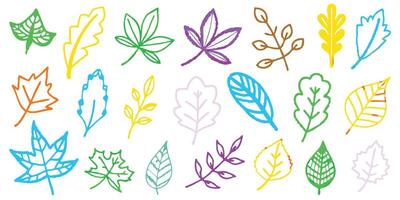 A set of nature icons trees, flowers, leaves, and butterflies, perfect for floral design elements for drawing vector