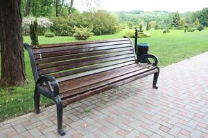 An Elegant Park Bench is Beautifully Surrounded by Lush Greenery in a City Setting photo
