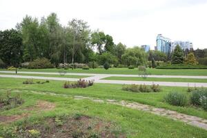 A Serene Urban Park Landscape Featuring Lush Greenery Surrounded by Modern Buildings Nearby photo