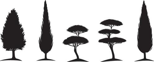 Cypress Pine Tree Silhouettes Graphics for Design Projects vector