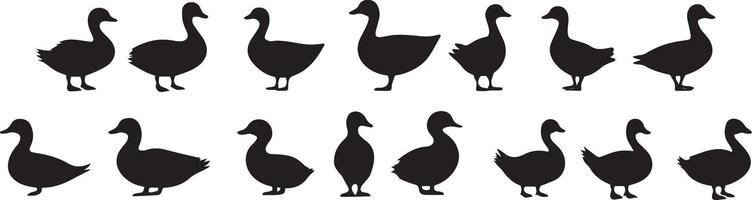 Collection of Duck Silhouettes Versatile Graphics for Design Projects vector