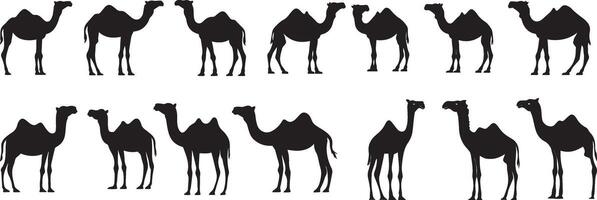 Camel Silhouettes A Collection of Elegant Black and White Camel Images for Design Projects vector