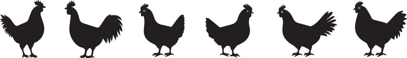 Silhouette Chicken Collection Farm Animal Graphics for Design Projects vector