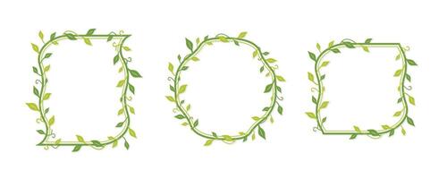 Green decorative vine frames vector