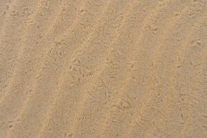 Abstract Wavy Sand Background photo