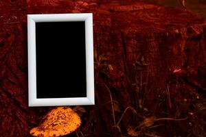 White black frame with black space for text on red nature photo