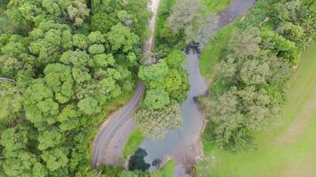 Drone footage captures a winding road through dense greenery and a serene river in Gold Coast, Australia video