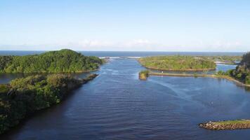 Drone footage captures a serene river flanked by lush greenery under clear skies at Brunswick Heads, NSW, Australia video