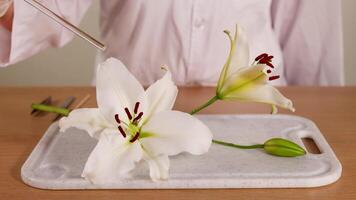 A scientist analyzes a lily flower on a tray using tools, highlighting botanical study techniques in a controlled environment video