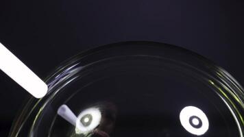 Close-up of soap bubbles reflecting colorful light patterns in a dark environment, highlighting surface tension and fluid dynamics video