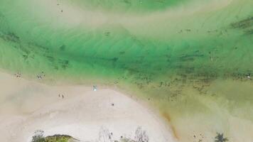 Drone captures beach, ocean, and lush greenery video