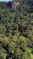 Drone footage captures expansive green forest and rocky outcrops under clear blue skies in Nimbin, NSW, Australia video