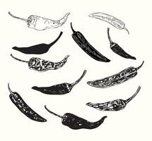 Black and White Chipotle Set vector