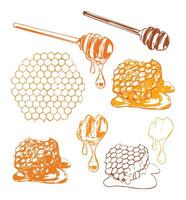 Dripping Honey and Honeycomb Set vector