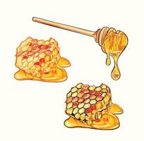 Honeycomb and Honey Dipper Illustration Set vector
