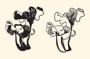 Black and White Oyster Mushroom Illustration vector