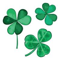 Lucky Shamrock Watercolor Set vector