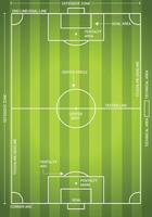Soccer field dimentions with beautiful and real design concept vector