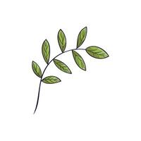 A shoot with green leaves. Doodle clipart, hand-drawn spring or summer illustration vector