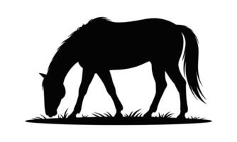 Majestic horse silhouette design vector