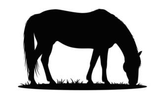 Horse Grazing Silhouette White Background vector