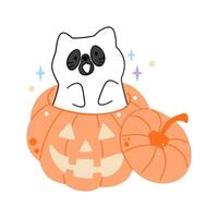 Cute black cat ghost peeking from a carved jack o lantern, isolated on white. Fun for Halloween designs vector