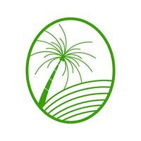 coconut trees and waves inside an ellipse vector