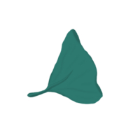 Dark Teal Leaf Illustration with Curved Triangle Shape on Transparent Background png