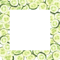 Sliced cucumber slices watercolor square frame. Fresh vegetable cut cucumber circles. Hand drawn illustration for gardening canned food, cosmetics label, menu design. Isolated from background template png
