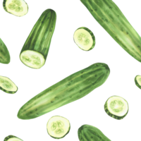 Cucumber with slices watercolor seamless pattern. Whole long green vegetable and sliced in circles. Clipart for market food packaging, kitchen textile. Isolated from background hand drawn illustration png