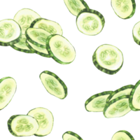 Sliced cucumber slices watercolor seamless pattern. Fresh vegetable cut cucumber circles. Realistic painted illustration for farming food fabric, packaging for cosmetics, salads. Isolated background png