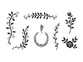 Elegant black and white floral design elements for creative decorations and wedding invitations vector