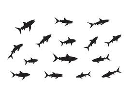 Silhouettes of sharks swimming in various directions on a plain white background vector