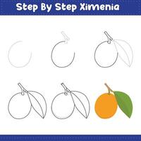 Ximenia fruit drawing steps vector