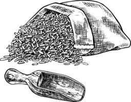A linen bag of rice or oats, wheat or rye with a wooden scoop. Black and white graphics, illustrations. Design element for menus, recipes, and cookbooks. For packaging, labels, and more vector