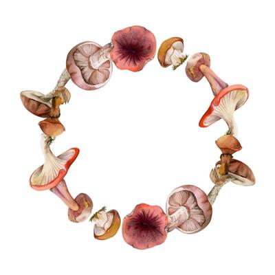 Bolete cep russula suillus mushroom fungi. Wreath frame hand drawn in watercolor. Autumn forest harvest, edible raw ingredient for vegan cooking. Label, tag design, menu recipe, scavenger hunt cards