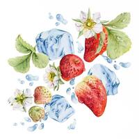 Fresh strawberries and ice cubes vector