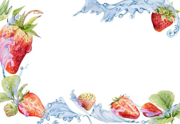 Strawberry berries leaves flying in water splash dew drops, ripe garden pineberry strasberry snakeberry hand drawn in watercolor. Isolated border corner frame. Farmers market, food and drink packaging