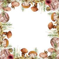 Watercolor mushrooms frame decoration vector